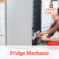 Fridge mechanic Mr. Bubai Pramanik in Radharghat